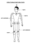 pupo3.gif (21235 byte)
